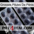 Grosses Pilules De Pénis 31